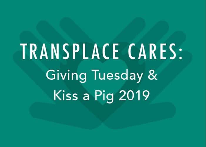 Transplace Cares: Giving Tuesday & Kiss a Pig 2019