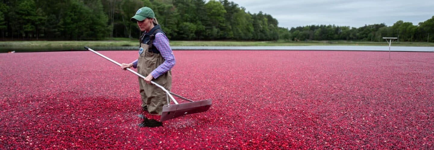 Ocean Spray présente Uber Freight comme l’un des cinq meilleurs fournisseurs de services de fret.