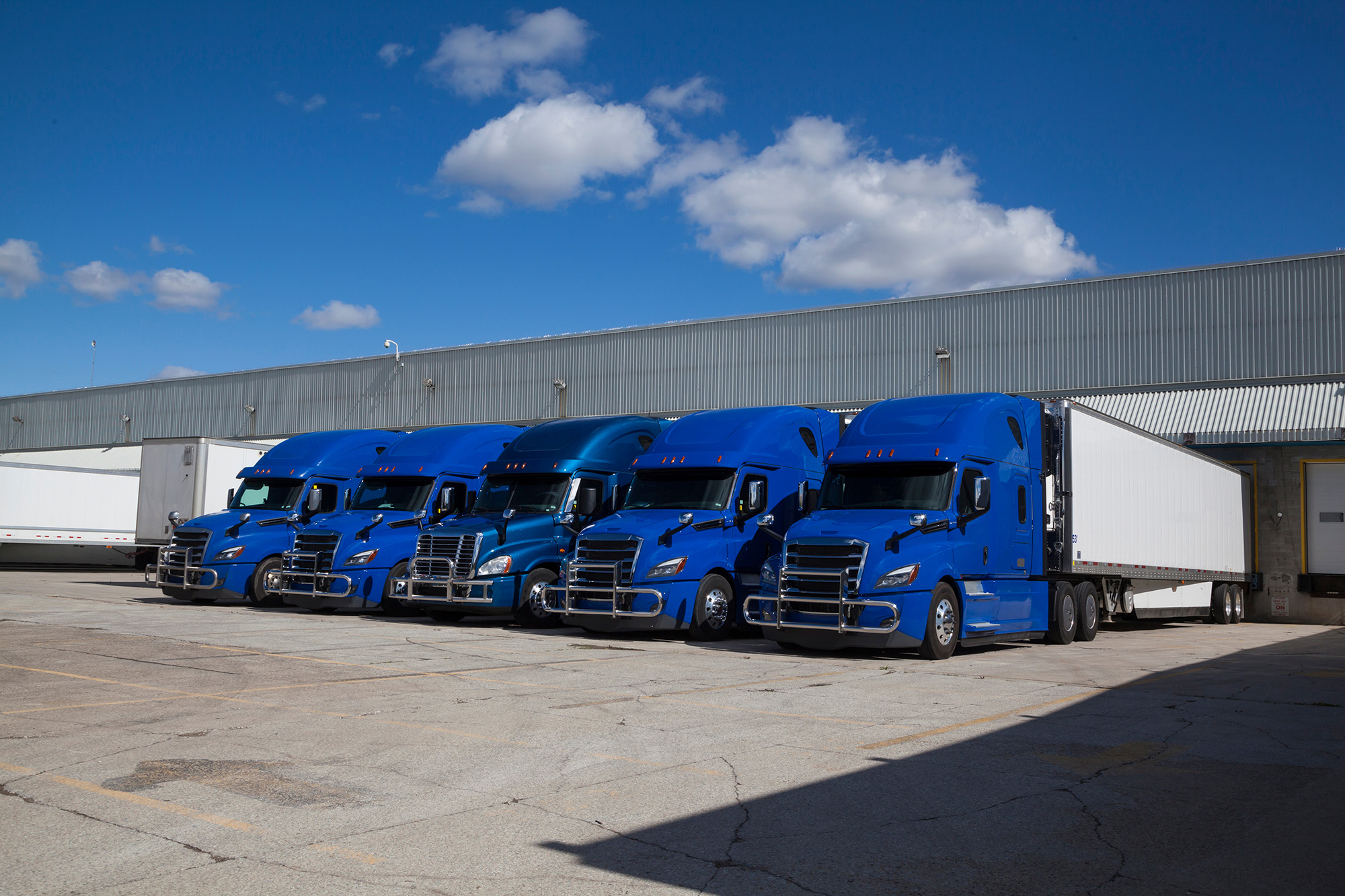 Camions garés les uns à côté des autres dans un entrepôt.